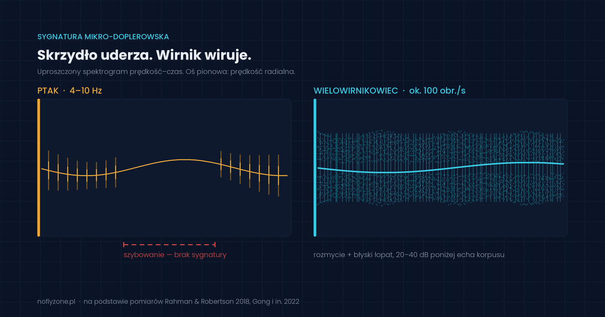 Jak radar odróżnia ptaka od drona?